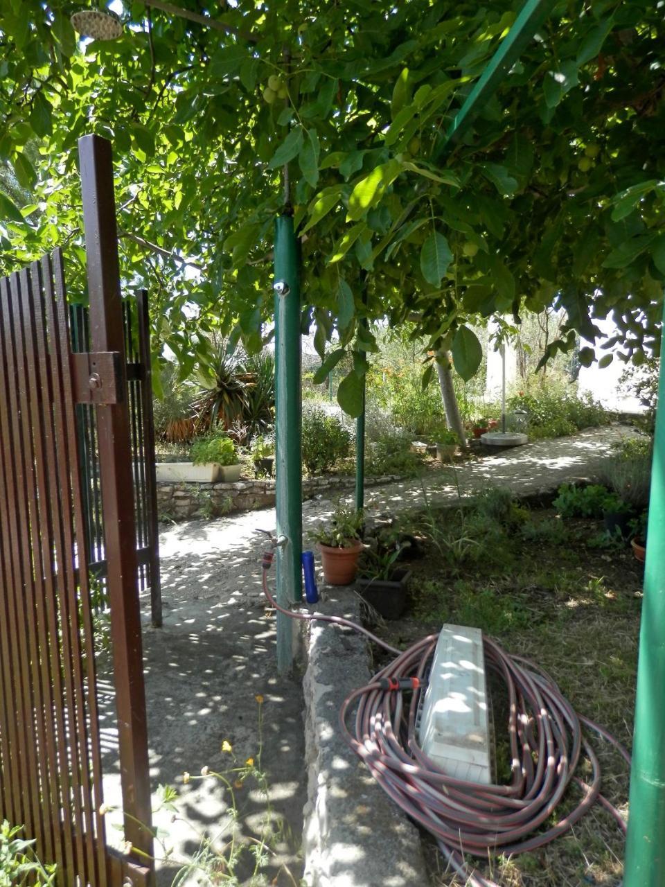 Apartments Zivana Рогозница Экстерьер фото